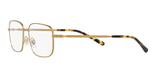 Polo Ralph Lauren PH 1218 men Gold Squared Eyeglasses