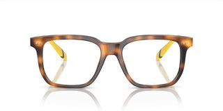 Polo Ralph Lauren PH 2269 men Havana Squared Eyeglasses