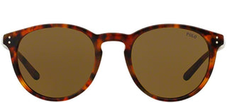 Polo Ralph Lauren PH 4110 unisex Havana Round Sunglasses