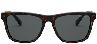 Polo Ralph Lauren PH 4167 men Havana Squared Sunglasses