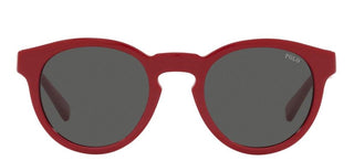 Polo Ralph Lauren PH 4184 men Red Round Sunglasses