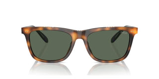 Polo Ralph Lauren PH 4205U men Havana Squared Sunglasses