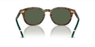 Polo Ralph Lauren PH 4206 men Brown Pantos Sunglasses