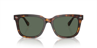 Polo Ralph Lauren PH 4210 men Brown Squared Sunglasses