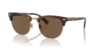 Polo Ralph Lauren PH 4217 men Havana Pantos Sunglasses