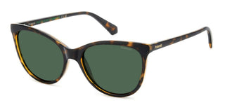 Polaroid PLD 4179/S women Havana Cat Eye Sunglasses