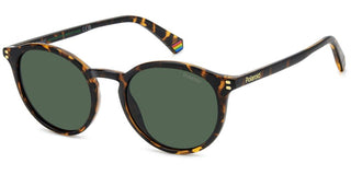 Polaroid PLD 6233/S unisex Havana Pantos Sunglasses