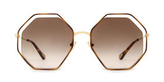 Chloé POPPY CH0046S women Havana Geometric Sunglasses