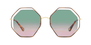 Chloé POPPY CH0046S women Havana Geometric Sunglasses