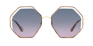 Chloé POPPY CH0046S women Havana Geometric Sunglasses