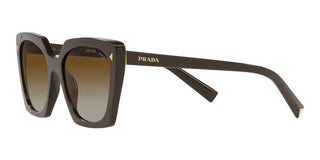 Prada PR 23ZS women Brown Squared Sunglasses