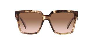 Prada PR 24ZS women Havana Squared Sunglasses