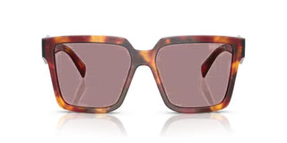 Prada PR 24ZS women Brown Visor Sunglasses