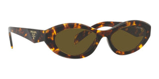 Prada PR 26ZS women Havana Cat Eye Sunglasses