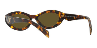 Prada PR 26ZS women Havana Cat Eye Sunglasses