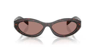 Prada PR 26ZS women Havana Cat Eye Sunglasses