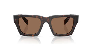 Prada PR A06S men Brown Pantos Sunglasses