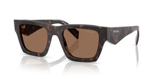 Prada PR A06S men Brown Pantos Sunglasses