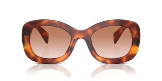 Prada PR A13S women Havana Butterfly Sunglasses