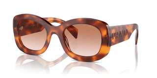 Prada PR A13S women Havana Butterfly Sunglasses