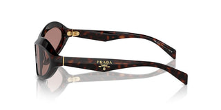 Prada PR A20S women Havana Cat Eye Sunglasses