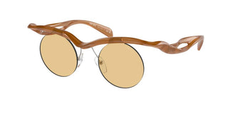 Prada PR A24S women Brown Round Sunglasses