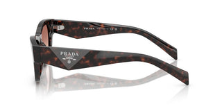 Prada Pr B09s Women Brown Butterfly Sunglasses