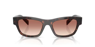 Prada PR B09S women Brown Butterfly Sunglasses