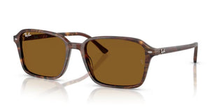 Ray-Ban RAIMOND RB 2231 unisex Brown Squared Sunglasses