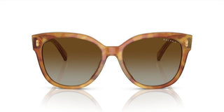 Ralph RA 5305U women Havana Cat Eye Sunglasses