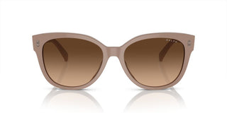 Ralph RA 5305U women Brown Cat Eye Sunglasses