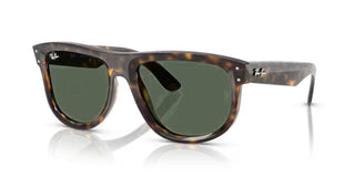 Ray-Ban RBR0501S unisex Havana Geometric Sunglasses