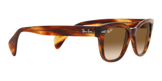 Ray-Ban RB 0880S unisex Havana Squared Sunglasses