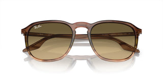 Ray-Ban RB 2203 unisex Brown Squared Sunglasses