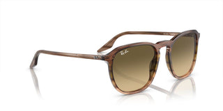 Ray-Ban RB 2203 unisex Brown Squared Sunglasses