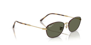 Ray-Ban RB 3749 women Havana Oval Sunglasses