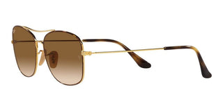 Ray-Ban RB 3799 unisex Havana Squared Sunglasses