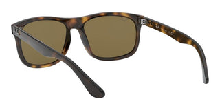 Ray-Ban RB 4226 unisex Havana Squared Sunglasses