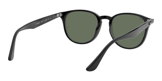 Ray-Ban RB 4259 unisex Black Round Sunglasses