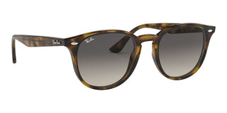 Ray-Ban RB 4259 unisex Havana Round Sunglasses