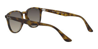 Ray-Ban RB 4259 unisex Havana Round Sunglasses