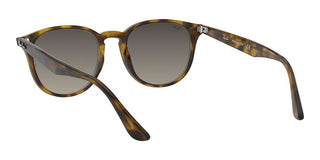 Ray-Ban RB 4259 unisex Havana Round Sunglasses