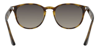 Ray-Ban RB 4259 unisex Havana Round Sunglasses