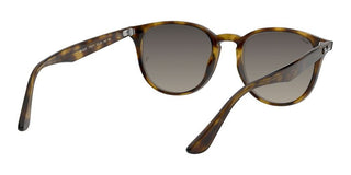 Ray-Ban RB 4259 unisex Havana Round Sunglasses