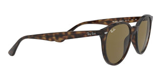 Ray-Ban RB 4305 unisex Havana Round Sunglasses