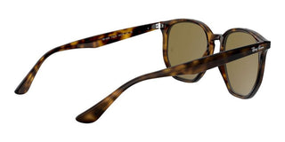 Ray-Ban RB 4306 unisex Havana Geometric Sunglasses