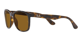 Ray-Ban RB 4374 unisex Havana Squared Sunglasses