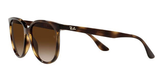 Ray-Ban RB 4378 women Havana Squared Sunglasses