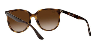 Ray-Ban RB 4378 women Havana Squared Sunglasses