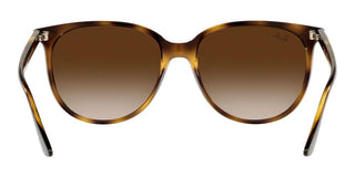 Ray-Ban RB 4378 women Havana Squared Sunglasses